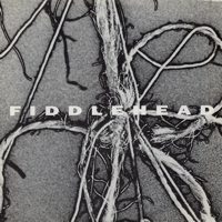 Fiddlehead - Bleat - Seven Inch on Allied Records