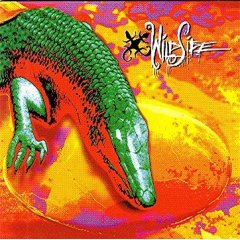 Wildside - ST - Cassette tape on TNT Records